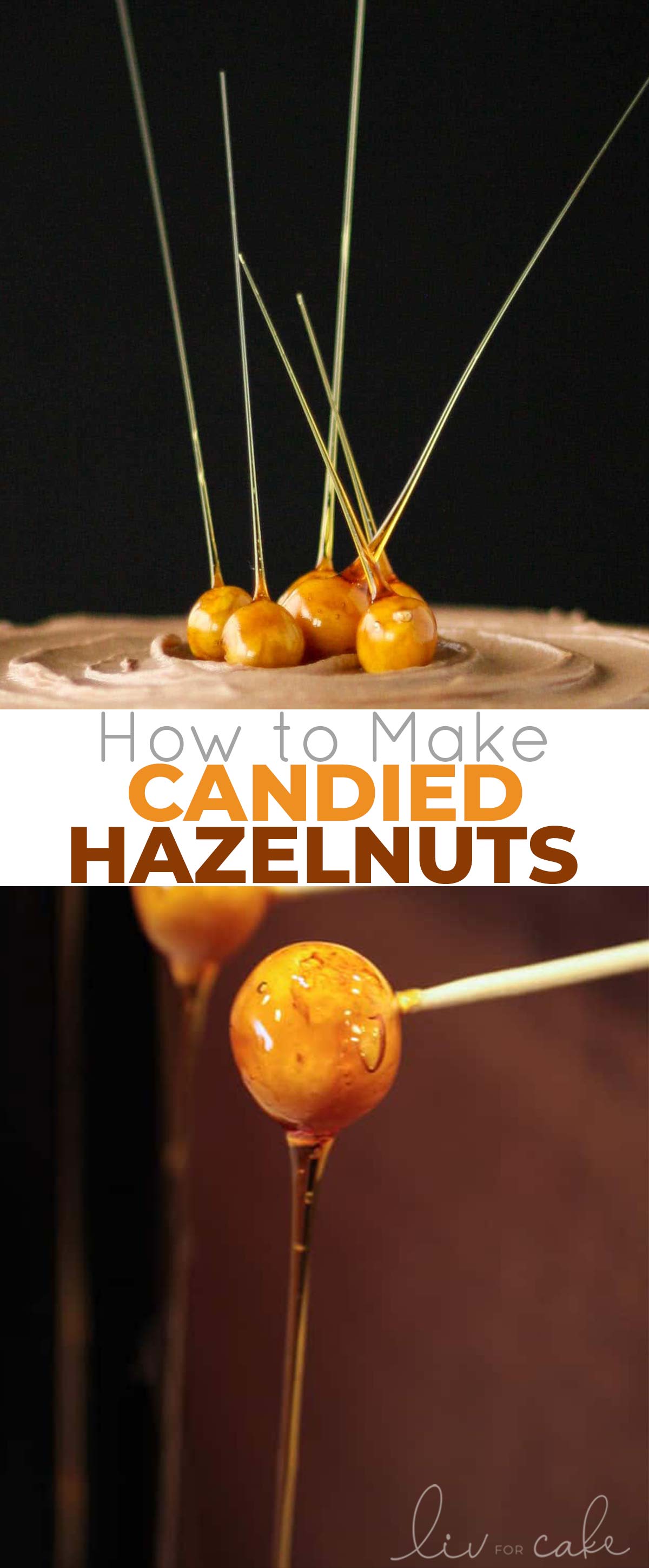 A quick and easy tutorial on how to make Candied Hazelnuts. | livforcake.com Candied hazelnuts collage.