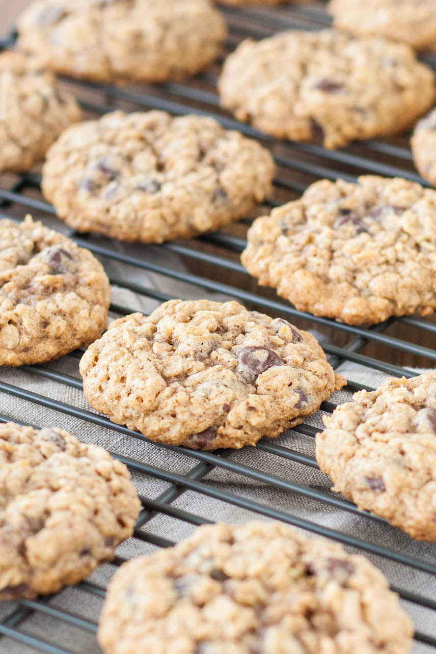 The BEST soft and chewy oatmeal chocolate chip cookies. | livforcake.com Close up of chewy oatmeal chocolate chip cookies.