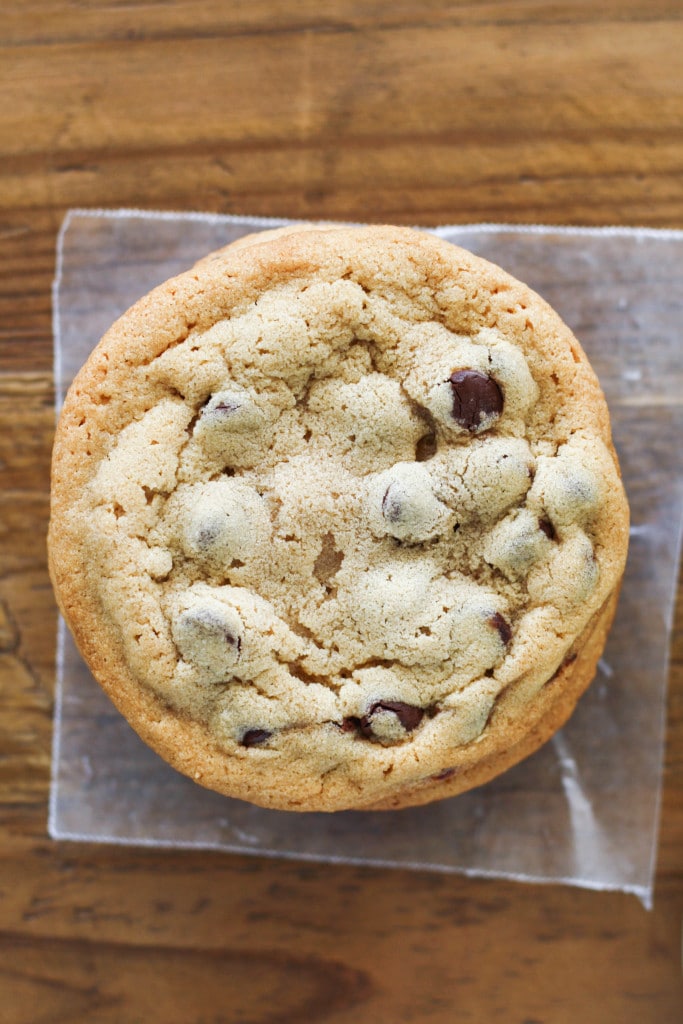 Peanut Butter Chocolate Chip Cookies! These chewy cookies are sweet, salty, and delicious. | livforcake.com Peanut butter chocolate chip cookie, overhead shot.